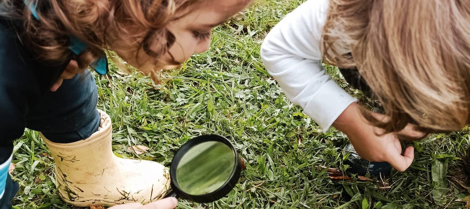 Aprendizaje con la naturaleza